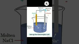 CATHODE and ANODE class 10 electrolytic cell chemistry chemistry [upl. by Apilef821]