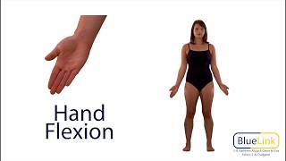 Hand Flexion Extension Hyperextension [upl. by Helbonia464]