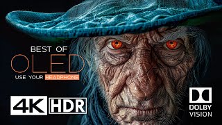 The Craziest OLED Test in 4K HDR 60FPS  Dolby Vision [upl. by Eelyak]