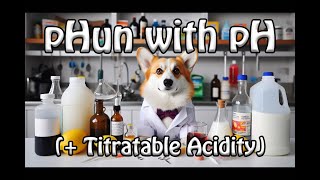 pHun with pH  Titratable Acidity in WineMaking [upl. by Kemp79]