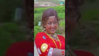 Ninna Nodidaaga Video Song  Manku Thimma  Dwarakish Srinath  Kannada Old Songs [upl. by Fulviah184]