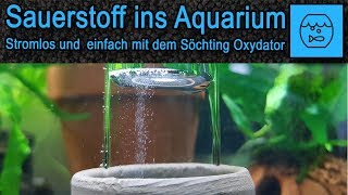 Unboxing Söchting Oxydator Mini  Oxydator Funktion und Anwendung  Sauerstoff im Aquarium Oxidator [upl. by Lamoureux330]