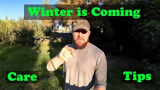 Winter is Coming  Winter Care Tips [upl. by Paza]