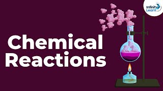 Introduction to Chemical Reactions and Equations  Dont Memorise [upl. by Delfeena]