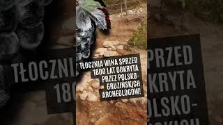 Tłocznia wina sprzed 1800 lat odkryta obok rzymskiego fortu Apsaros archeologia wiadomości rzym [upl. by Nahseez]