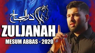 Zuljanah Noha Official Video  Mesum Abbas Nohay 2020 [upl. by Bevin]