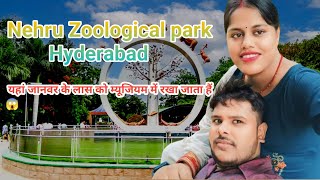 Nehru Zoological park amp Natural Historical Museum  rakhijhavlogs [upl. by Bloch679]