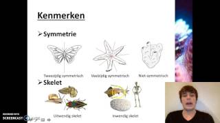 Ordening  Het rijk van de dieren [upl. by Charissa]