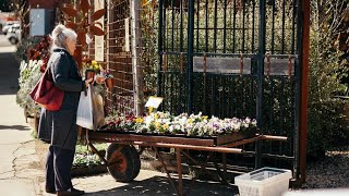 The Cottages at Hepburn Springs Daylesford and Macedon Ranges Australia [upl. by Nim]