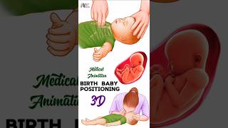 Birth  Baby Positioning medical animation 3d short BiologywithAliya [upl. by Eutnoj]