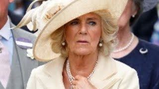 Awkward Camilla Parker Bowles Moments That Were Seen By Millions [upl. by Hollister223]