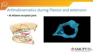 Biomechanics of cervical spine arthrokinematics [upl. by Lida]