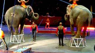 Circus Elephants Perform [upl. by Anisamot]