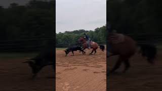 Weston Holliday Team Roping Marie Laveau [upl. by Enylhsa]