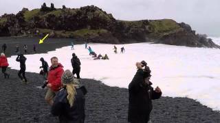 Big sneaker wave at Djúpalónssandur Iceland [upl. by Valry977]