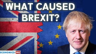 Why did Brexit Happen  When it is Not So Popular [upl. by Dieter]