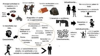 Sapiens De animales a dioses  Resumen animado  Capítulo 3 [upl. by Windzer]