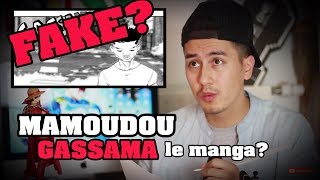 Mamoudou Gassama Manga Fake Ou Réel [upl. by Eugenides]