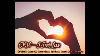 CRW  I Feel Love DJ Karko Remix [upl. by Sorce]