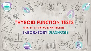 Thyroid Function Tests TSH T4 T3 Thyroid Antibodies  تحاليل وظائف الغدة الدرقية [upl. by Wahkuna989]