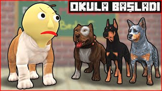 KÖPEK ÇETESİ OKULA BAŞLADI 😱  Minecraft [upl. by Miyasawa]