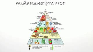 Die Ernährungspyramide  Biologie  Humanbiologie [upl. by Fidelity]