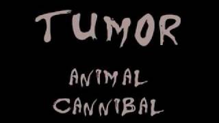 Tumor  Animal Cannibal [upl. by Darra362]