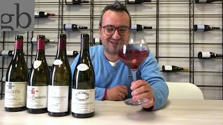 La genialità dei vini Gevrey Chambertin [upl. by Leelah413]