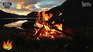 Lakeside Campfire with Relaxing Nature Night Sounds HD [upl. by Yrogerg]