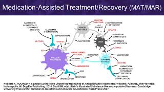 Opioid Use Disorder Breaking the Barriers in MedicationAssisted Treatment [upl. by Trillbee106]