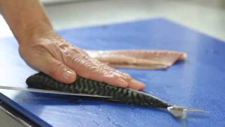 How To Fillet A Mackerel [upl. by Uela]