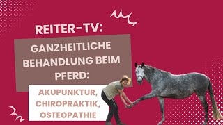 ReiterTV Ganzheitliche Behandlung beim Pferd Akupunktur Chiropraktik Osteopathie [upl. by Yleek]