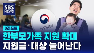 한부모가족 지원 확대…지원금 · 지원 대상 늘어난다  SBS  D리포트 [upl. by Hedvig]