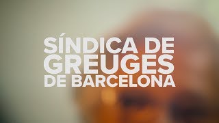 Síndica de Greuges de Barcelona [upl. by Aeret137]