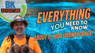 Florida Bioluminescence Masterclass All you should know in only five minutes [upl. by Berga130]