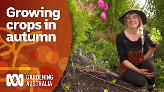 Why you should be planting your crops in autumn  Gardening 101  Gardening Australia [upl. by Downall325]