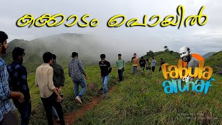 kakkadampoyil  കക്കാടംപൊയില്‍  kurishmala  Kozhippaara Waterfalls fabula of althaf [upl. by Victorine]