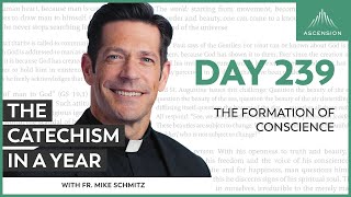 Day 115 Wounds to Unity — The Catechism in a Year with Fr Mike Schmitz [upl. by Amre]