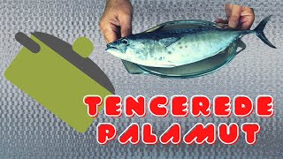 TENCEREDE PALAMUT PİLAKİ TARİFİ  Tencere yemekleri By Ferih [upl. by Ahsiakal]