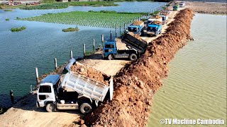 Wonderful Project Backfilling Construction Of Machinery Team Dozer amp Truck 5T Spreading Into Water [upl. by Eltrym681]