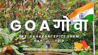 🇮🇳 EP3 GOA INDIA TRAVEL VLOG  FIRST TIME VISITING INDIA SAHAKARI SPICE FARM TRIP EPISODE 3 [upl. by Northey547]