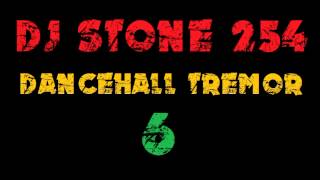 DJ STONE 254  DANCEHALL TREMOR 6 [upl. by Frayne]