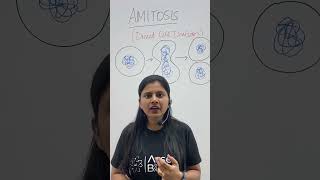 Amitosis  Direct Cell Division  Cell Cycle amp Cell Division  Class 11 Biology NEET amitosis neet [upl. by Raymond]