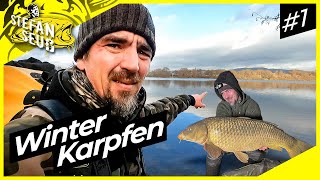 Winter Karpfen  Ohne BOOT und Schnickschnack  Karpfenangeln am Baggersee Folge 1 [upl. by Thirion]