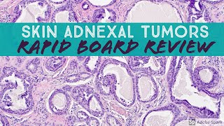 Skin Adnexal Tumors Dermpath Board Review for Dermatology Pathology amp Dermpath [upl. by Llerruj]