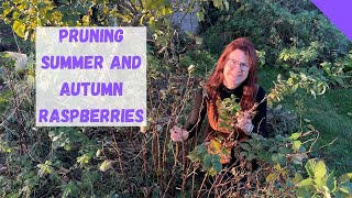 How Do I Prune A Raspberry Cane  Allotment Gardening For Beginners [upl. by Sale798]