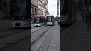 Straßenbahn in Graz graz tramspotting shorts [upl. by Onitnas]