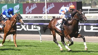 Moonee Valley Racing Preview G2 Australia Stakes Day 270124  Sky High Horse Racing [upl. by Colombi]