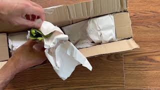 Nepenthes Unboxing From LynnsPlants [upl. by Ehsom]