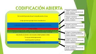 Categorización de datos en la investigación social cualitativa [upl. by Nathanson]